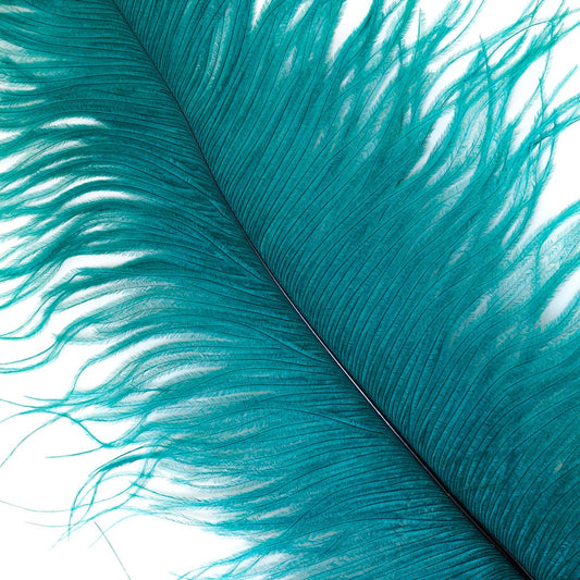 Large Ostrich Feathers - 17"+ Drabs - Teal