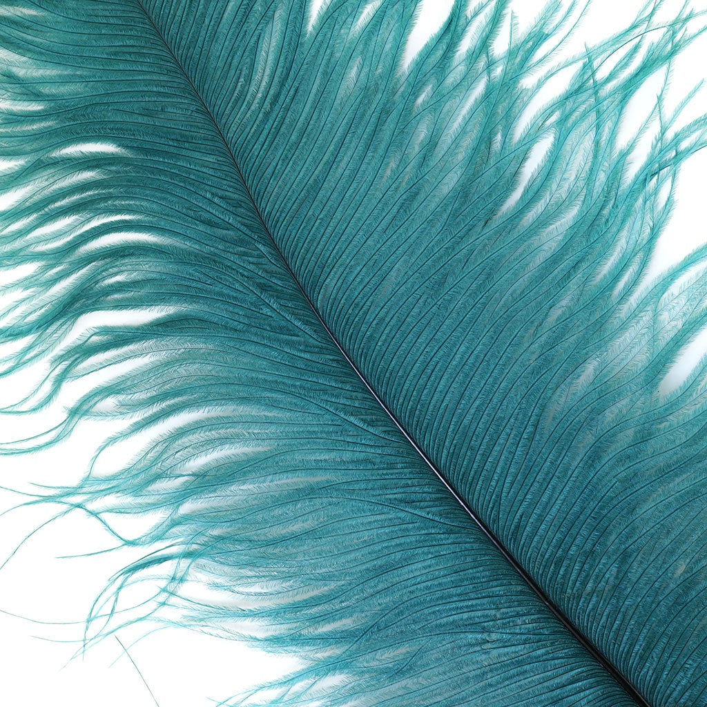 Ostrich Feathers 13-16" Drabs - Teal