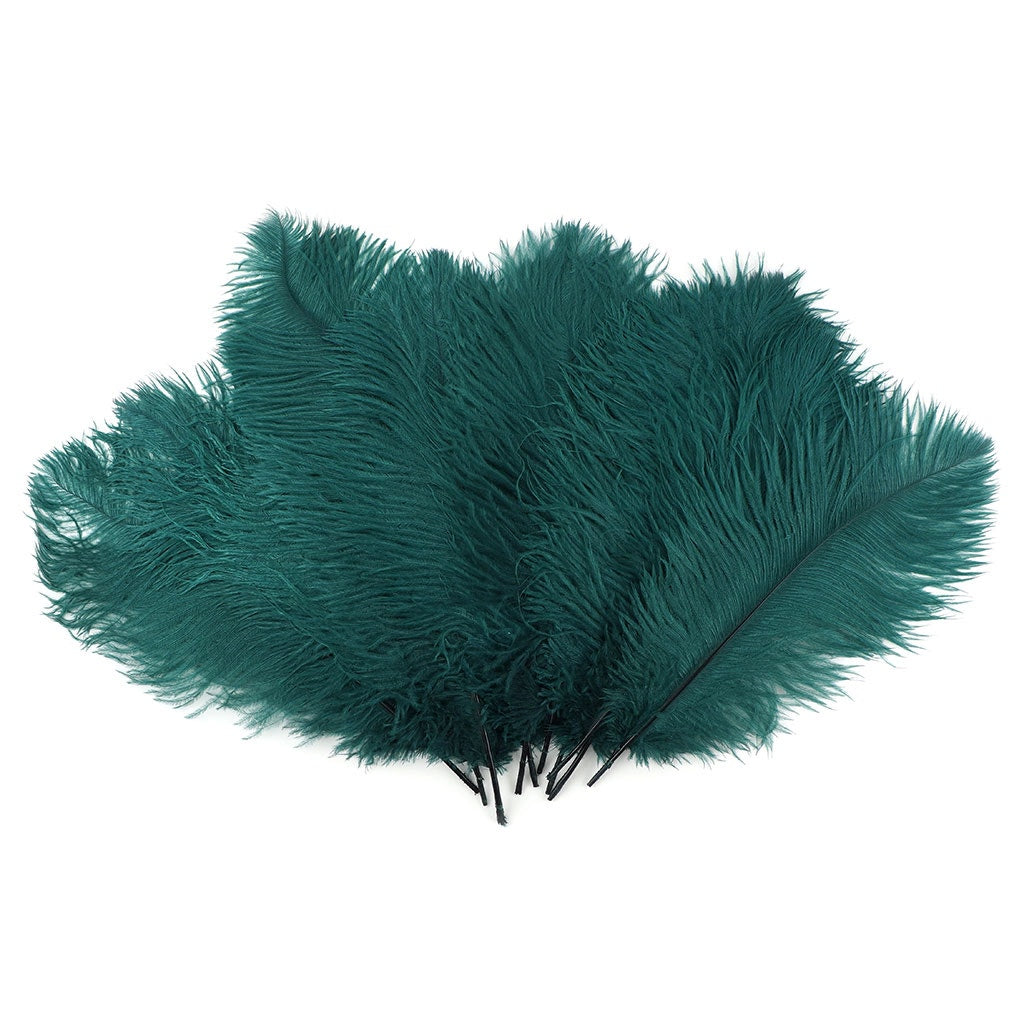 Ostrich Feathers 13-16" Drabs - Teal