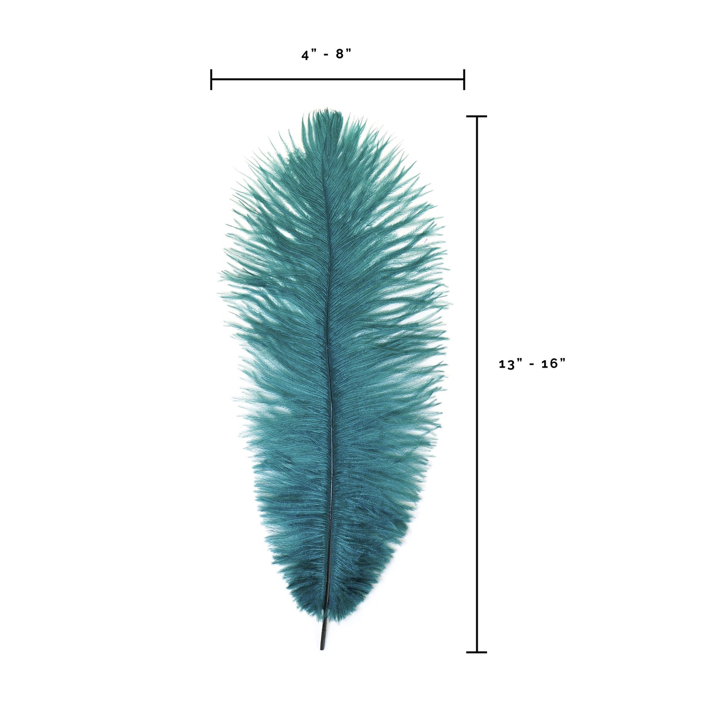 Ostrich Feathers 13-16" Drabs - Teal