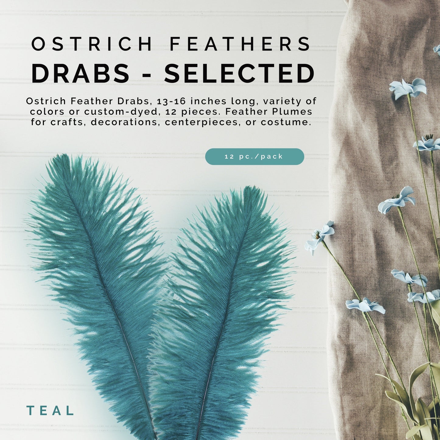 Ostrich Feathers 13-16" Drabs - Teal