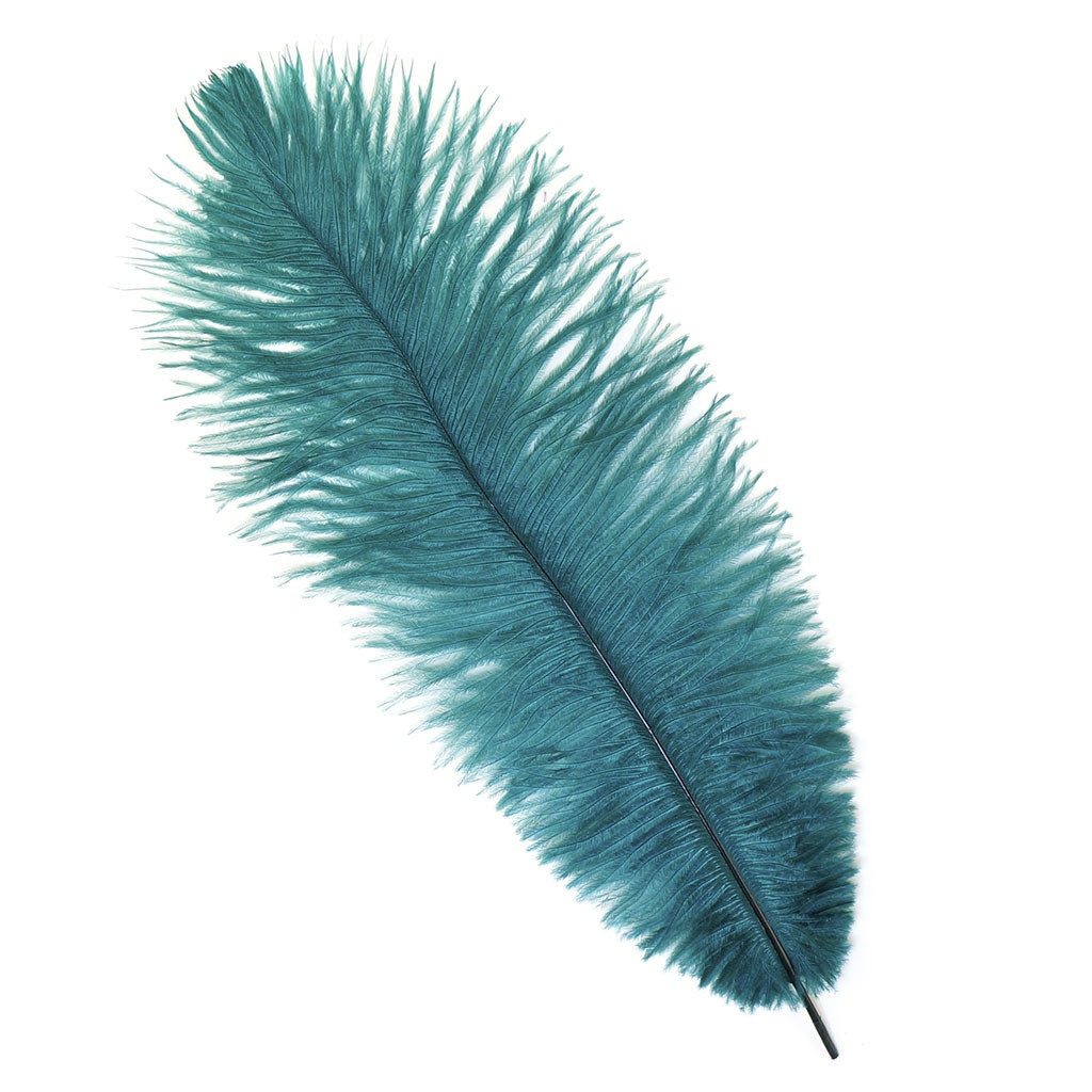 Ostrich Feathers 13-16" Drabs - Teal