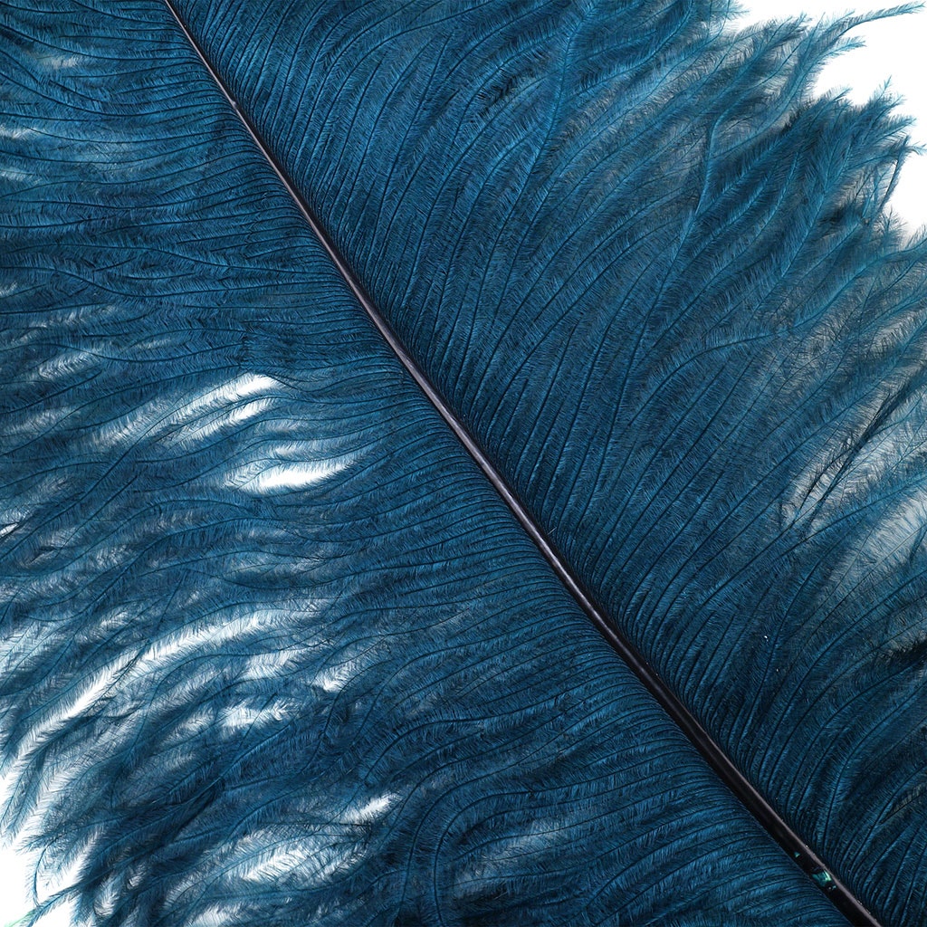 Large Ostrich Feathers - 20-25" Prime Femina Plumes - Teal