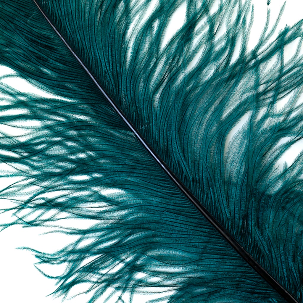 Large Ostrich Feathers - 18-24" Spads - Teal