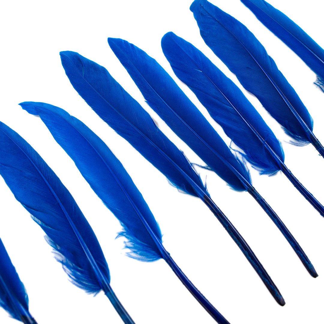 Duck Cosse Feathers - 3 - 6"-Dark Turquoise
