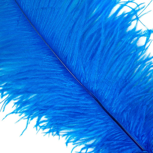 Large Ostrich Feathers - 17"+ Drabs - Dark Turquoise