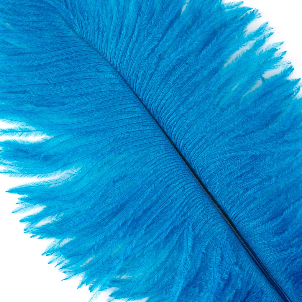 Ostrich Feathers 9-12" Drabs -  Dark Turquoise