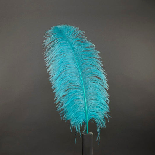 Large Ostrich Feathers - 20-25" Prime Femina Plumes - Light Turquoise