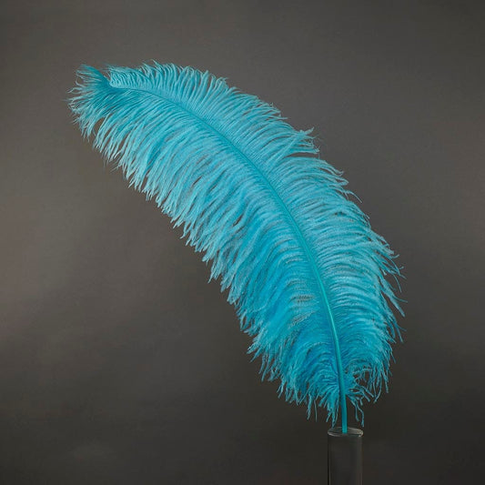 Large Ostrich Feathers - 24-30" Prime Femina Plumes - Light Turquoise