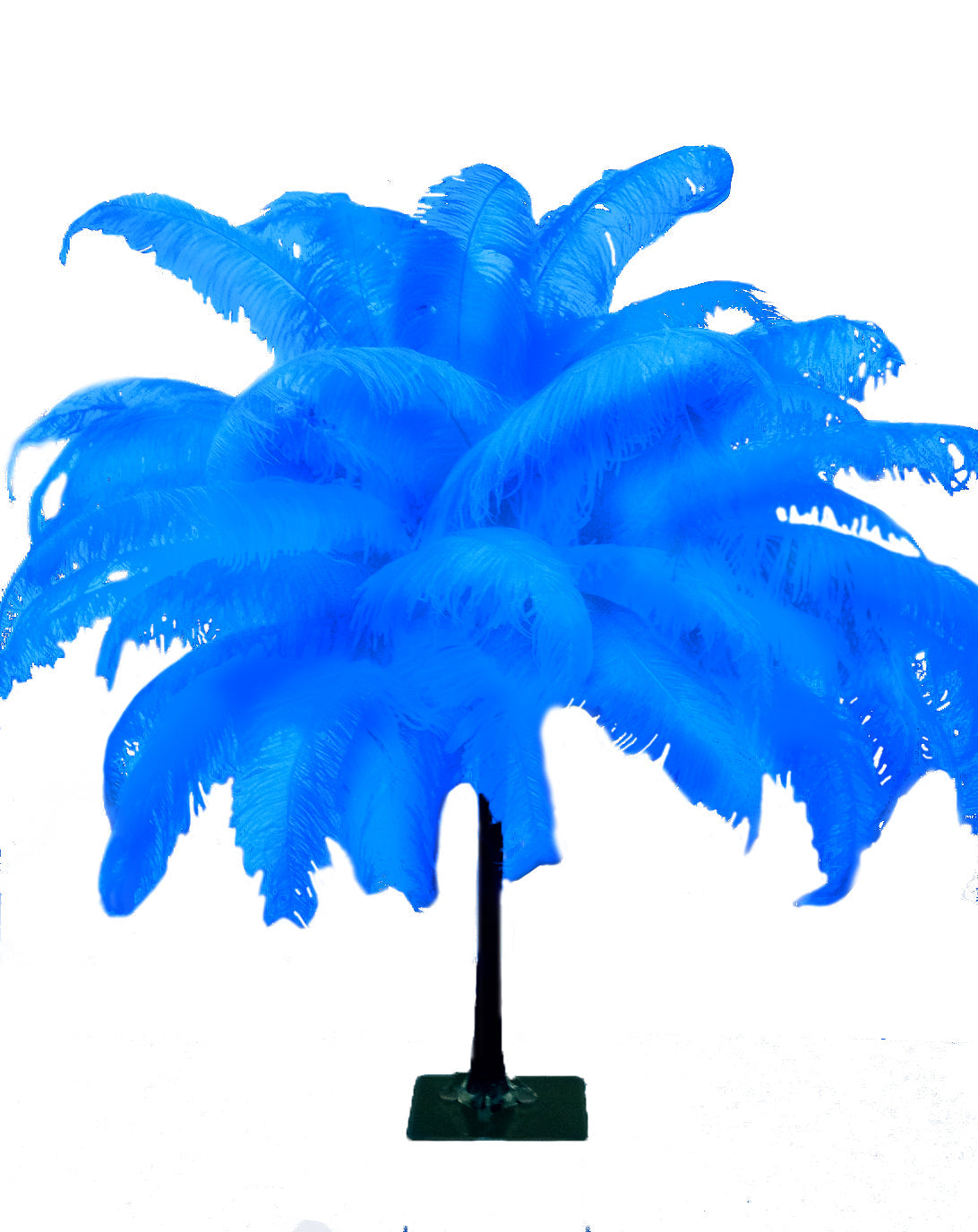 Large Ostrich Feathers - 18-24" Spads - Dark Turquoise