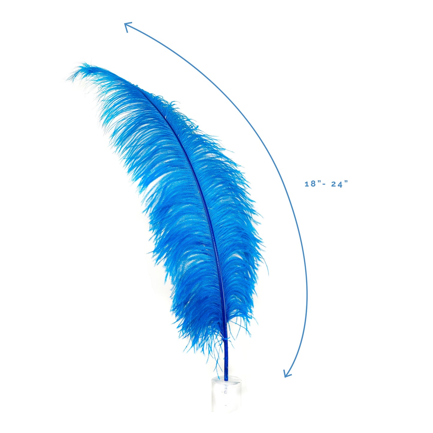 Large Ostrich Feathers - 18-24" Spads - Dark Turquoise