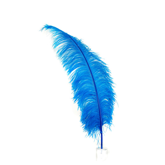 Large Ostrich Feathers - 18-24" Spads - Dark Turquoise