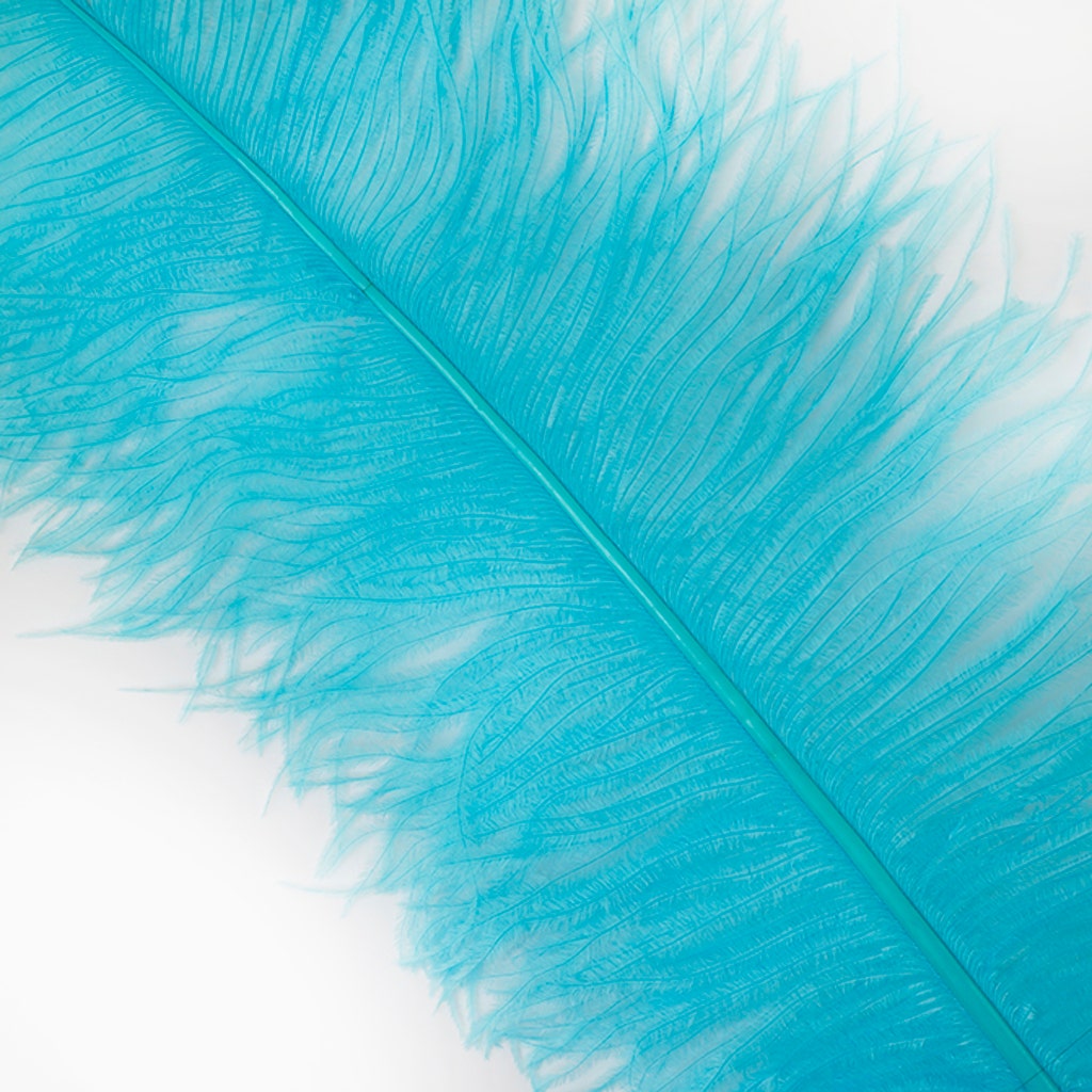 Large Ostrich Feathers - 18-24" Spads - Light Turquoise
