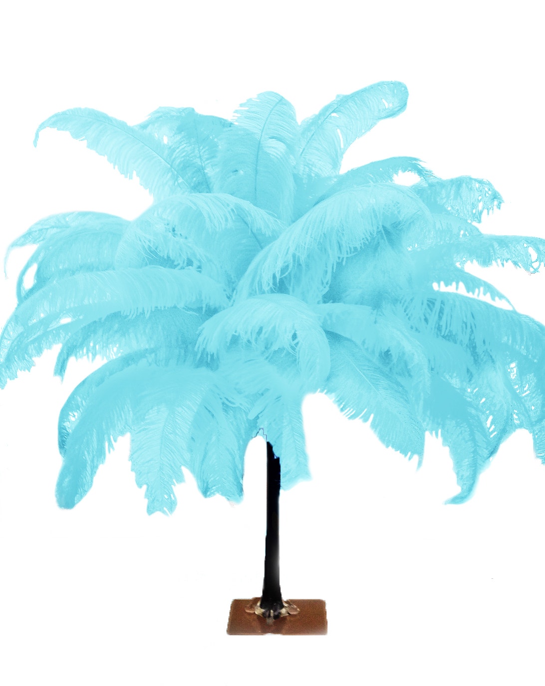 Large Ostrich Feathers - 18-24" Spads - Light Turquoise