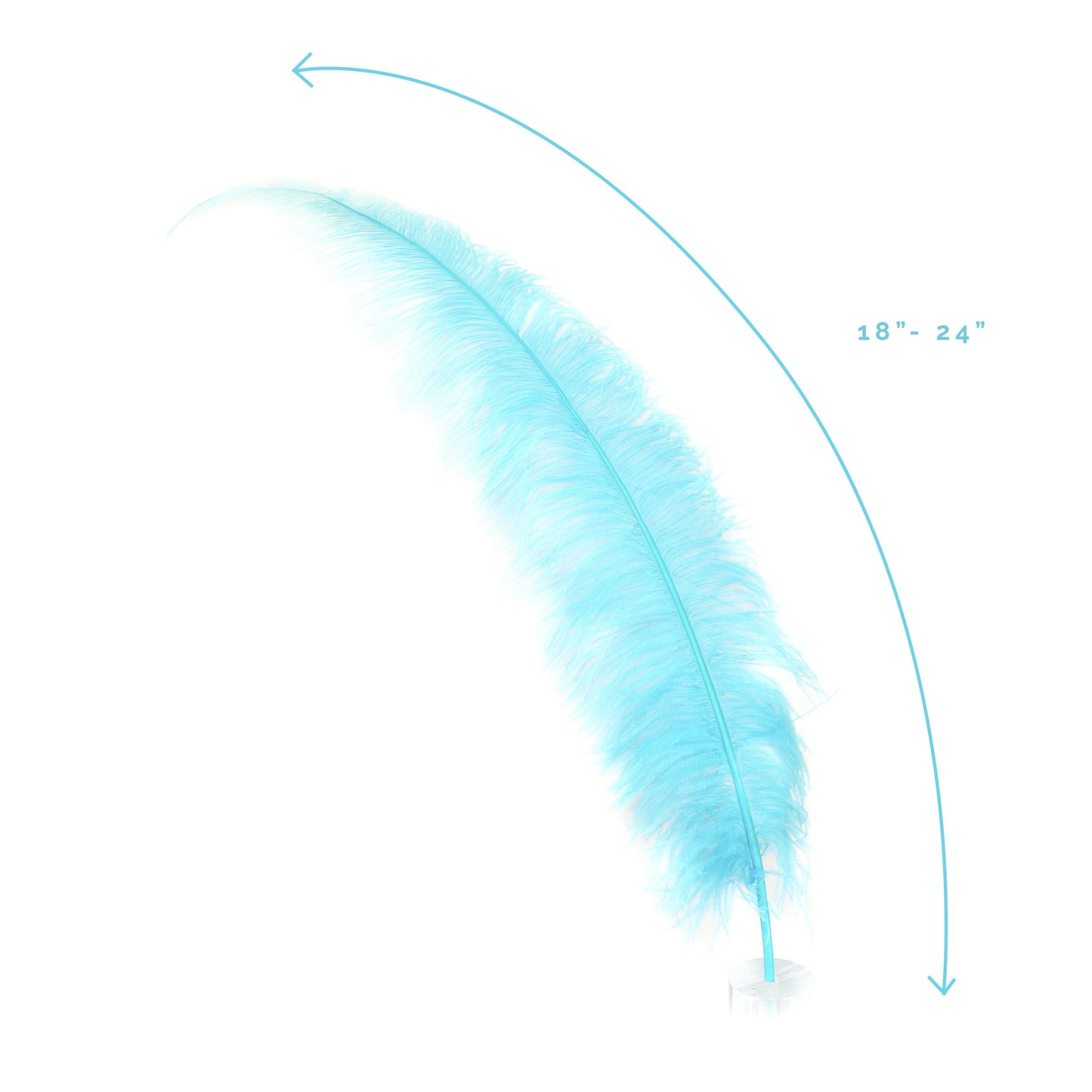 Large Ostrich Feathers - 18-24" Spads - Light Turquoise