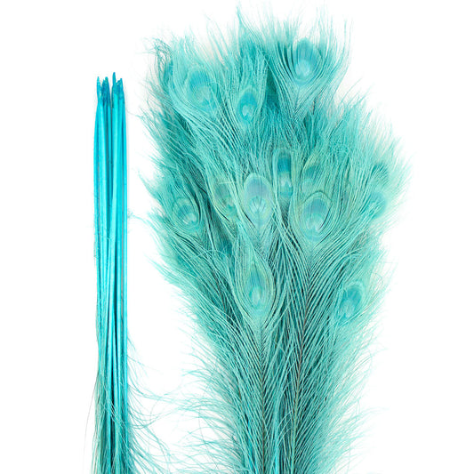 Peacock Feathers | 25-40" Tail Eyes | Light Turquoise (Bulk)