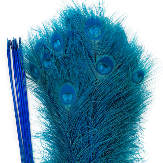 Peacock Tail Eyes Bleached Dyed - 25-40 Inch - 100 PCS - Dark Turquoise