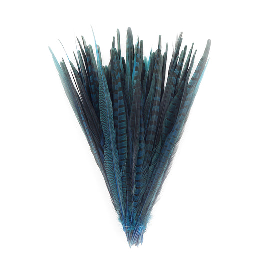 Bulk Assorted Pheasant Tails Dyed - Dark Turquoise