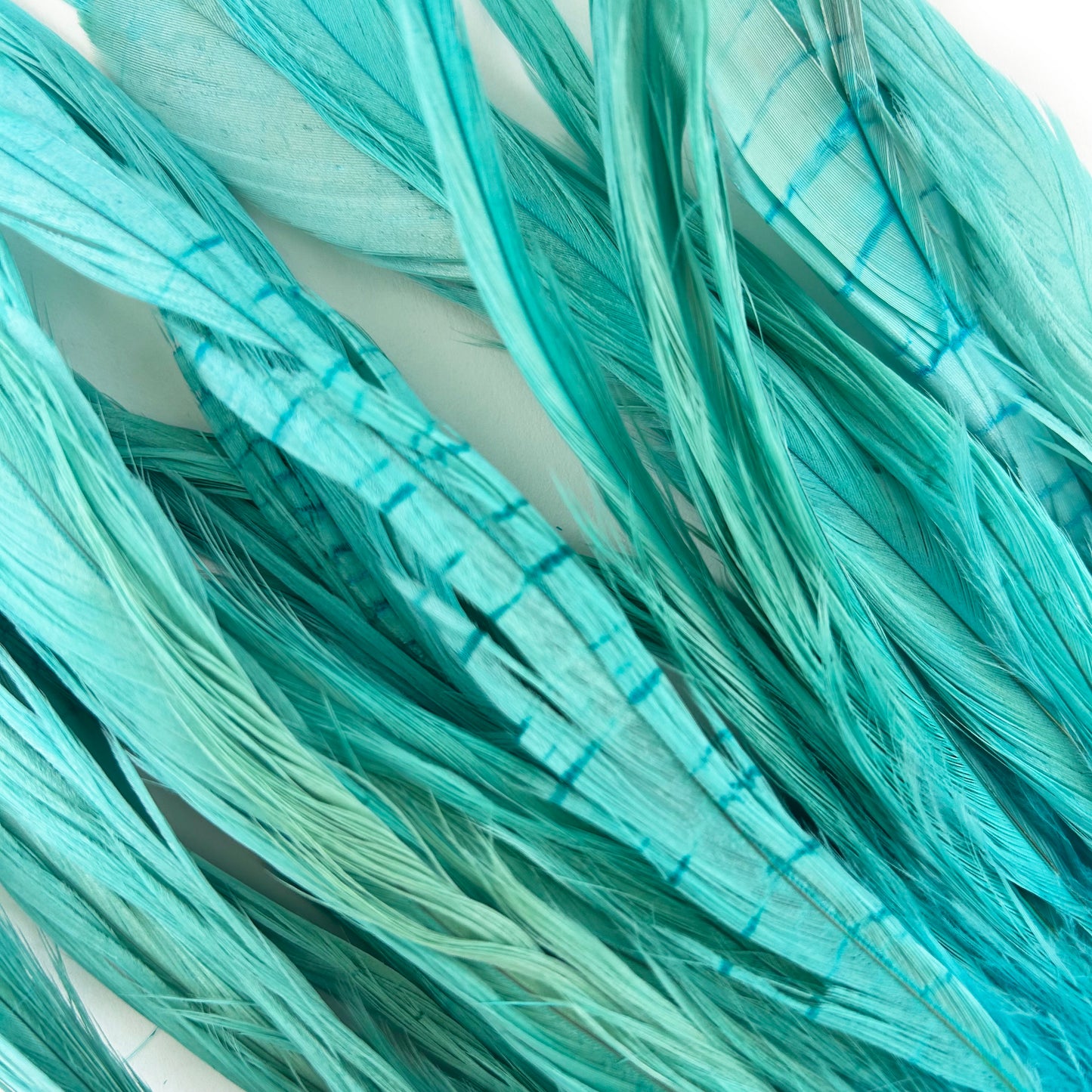 ROOSTER COQUE TAIL FEATHERS BLEACH DYED 7-10” - 25 PC/PKG -Light Turquoise