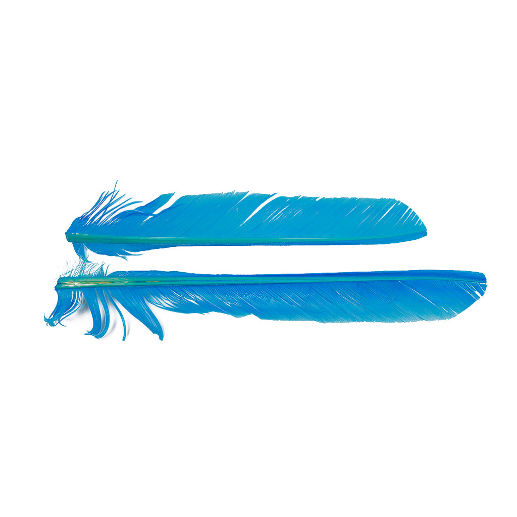 Dark Turquoise Cut Turkey Pointer Feathers 8-12"