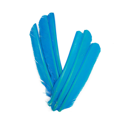 Dark Turquoise Cut Turkey Pointer Feathers 8-12"