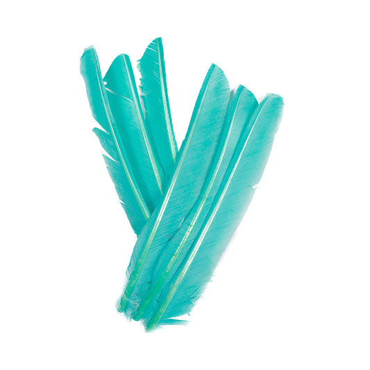 Light Turquoise Cut Turkey Pointer Feathers 8-12"