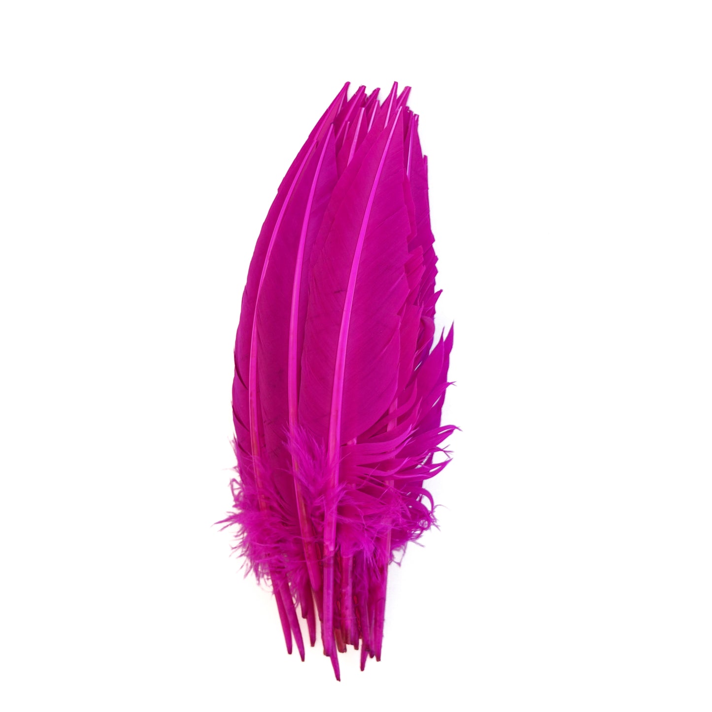 Very Berry Dagger Turkey Quill Feathers 9-12"