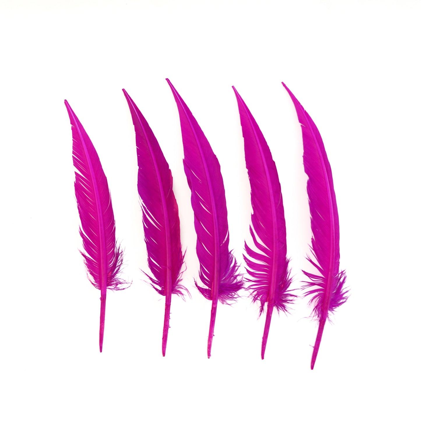 Very Berry Dagger Turkey Quill Feathers 9-12"