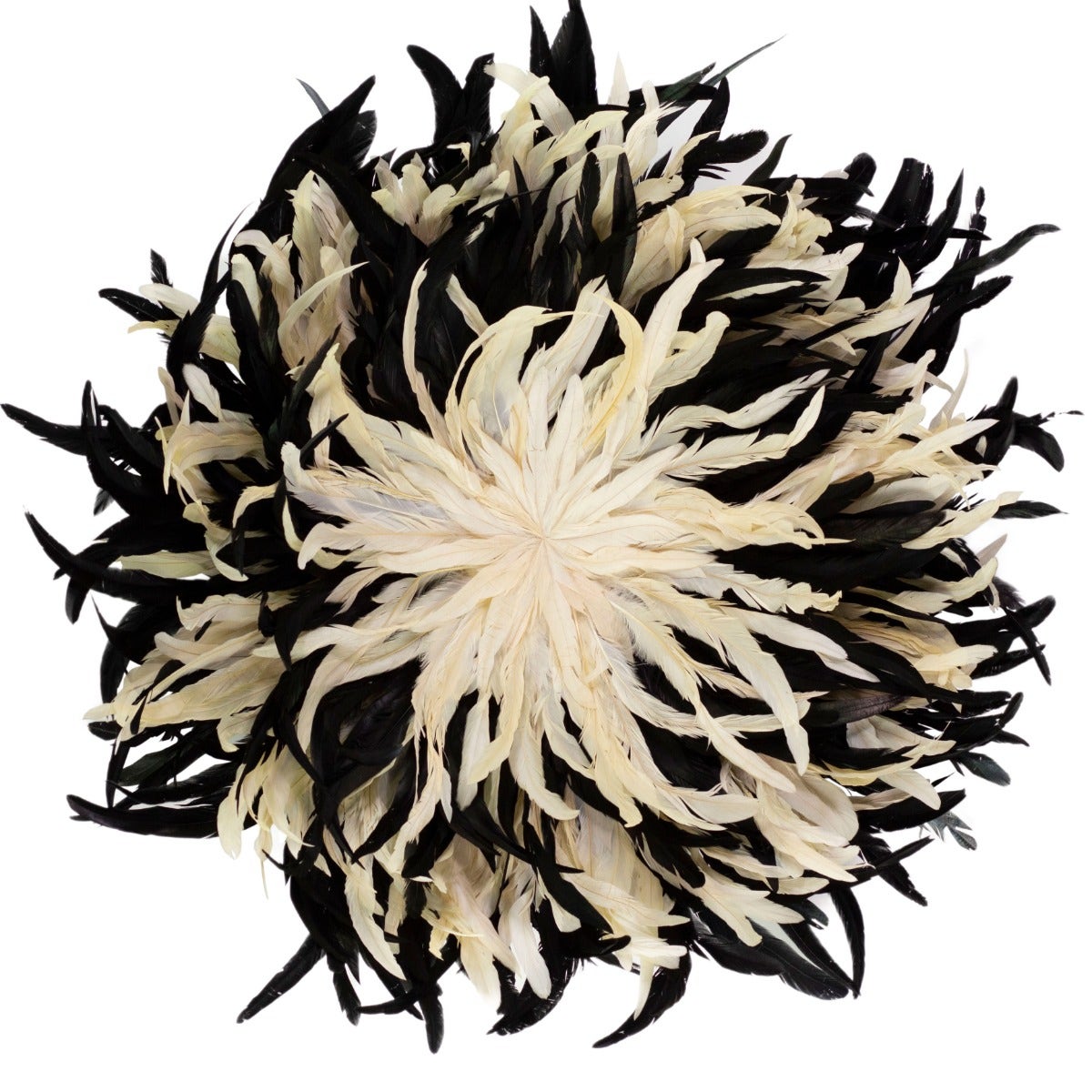 Black and Beige Feather Wall Art Juju Hat