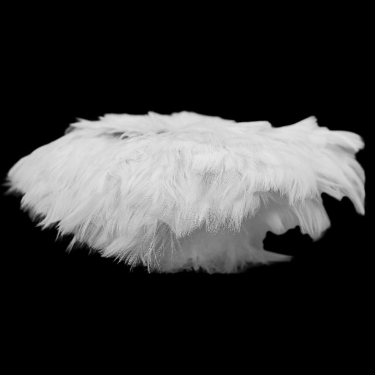Strung Goose Coquille Feathers 3-4" -- 1/4 lb-White
