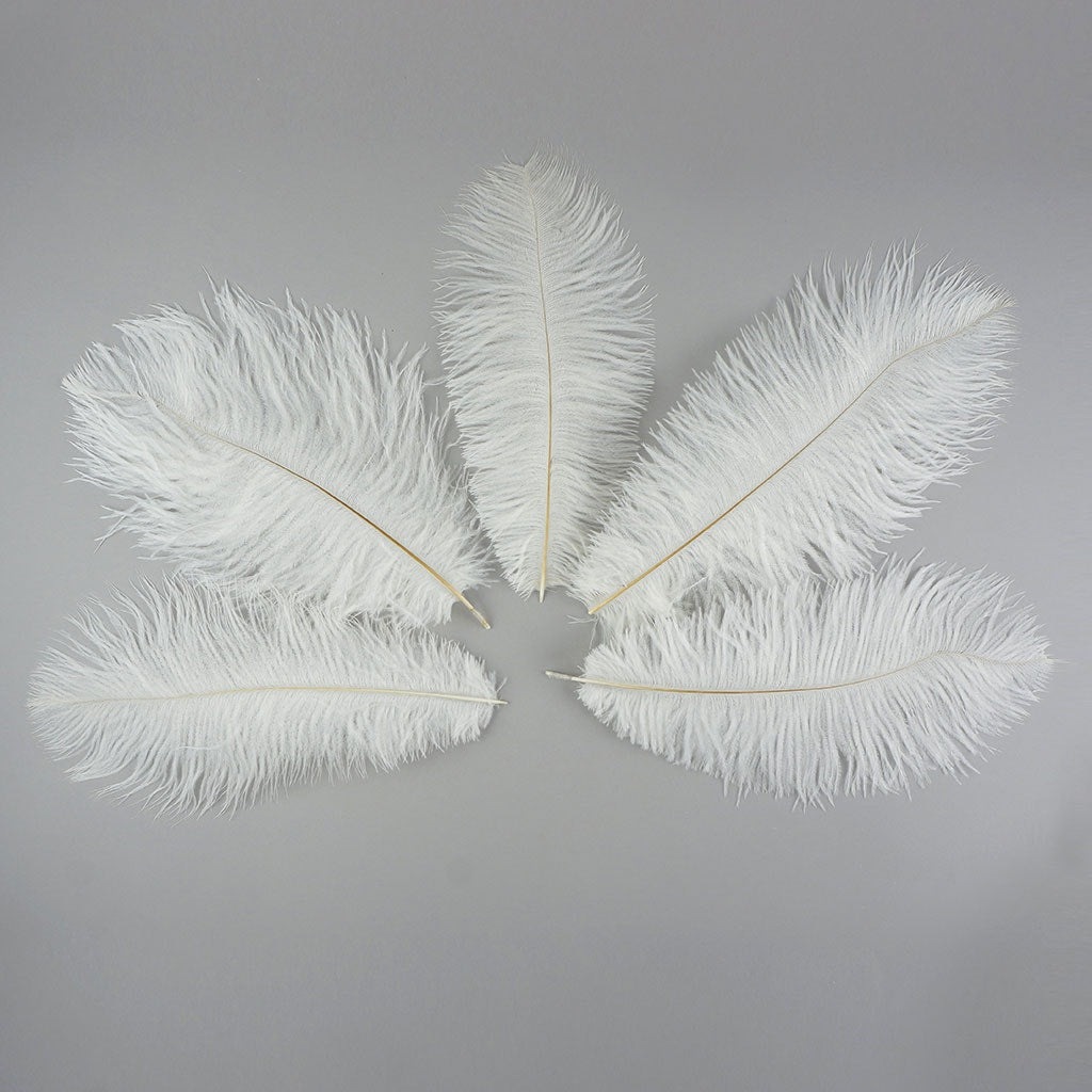 Ostrich Feathers 9-12" Drabs -  White