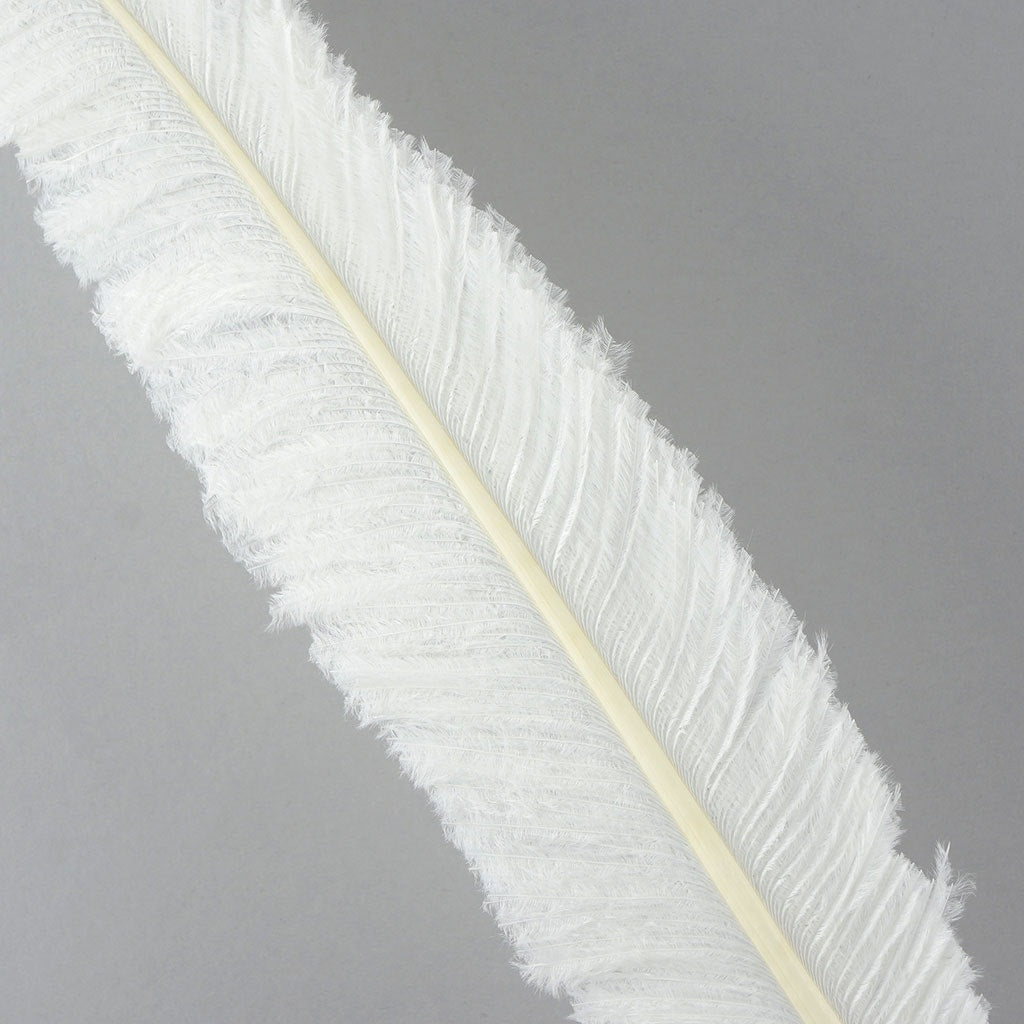 Ostrich Feathers - 13-24" Nandus - White