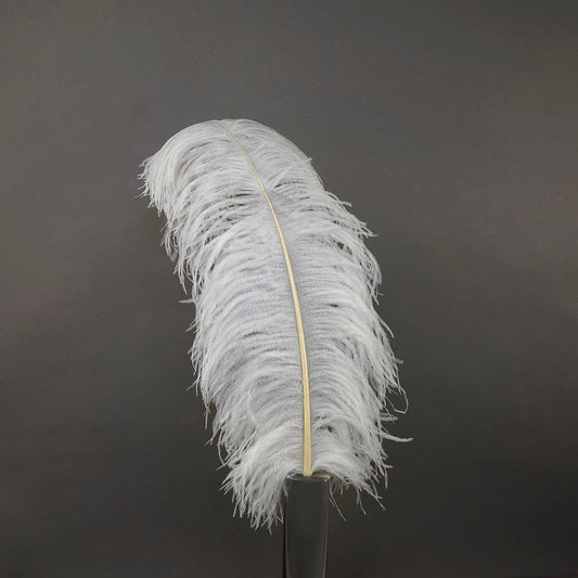  80 Pieces Ostrich Feathers Bulk Large Boho Feathers