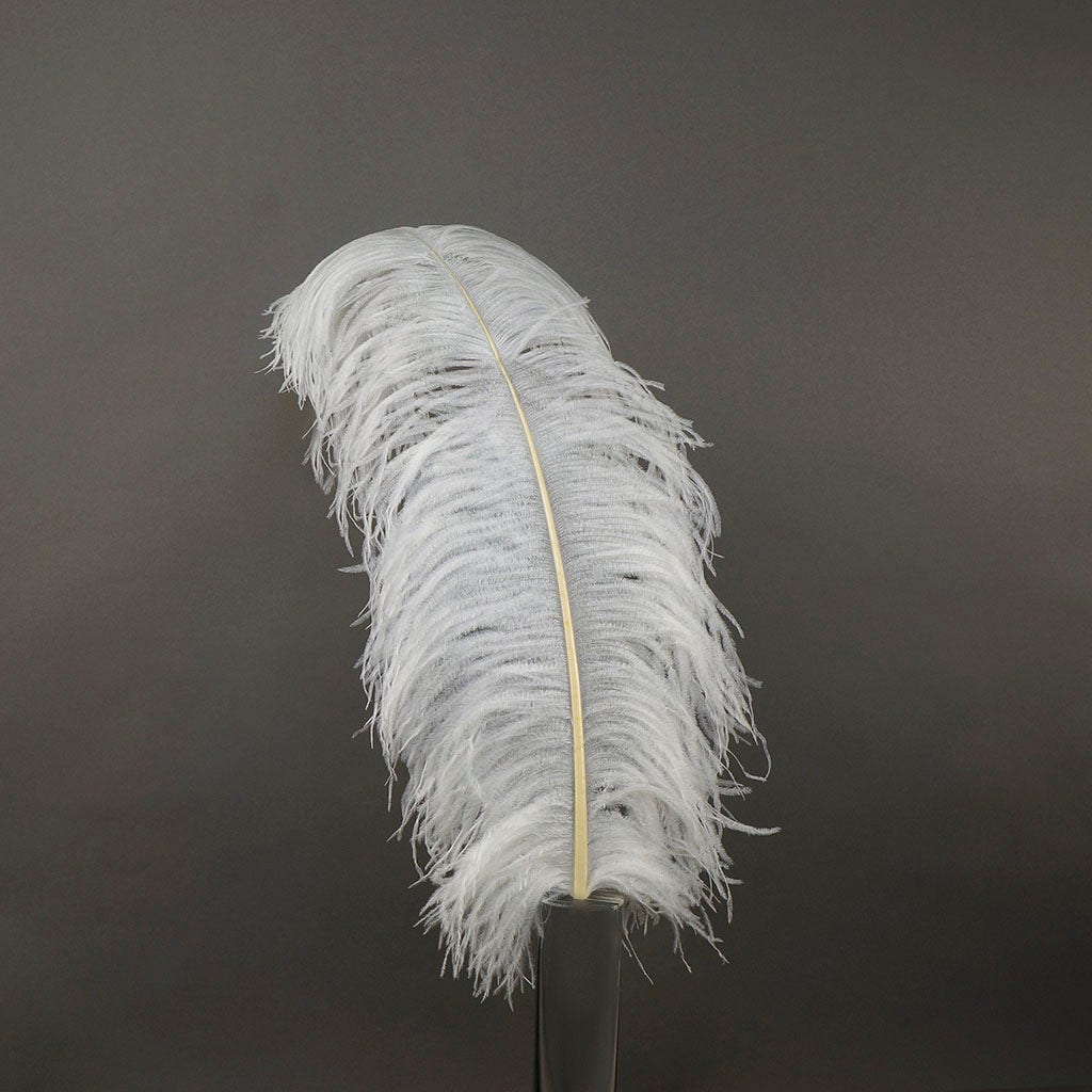 White Ostrich Feathers/Plumes Wholesale dozen bulk 28-30 inch 5