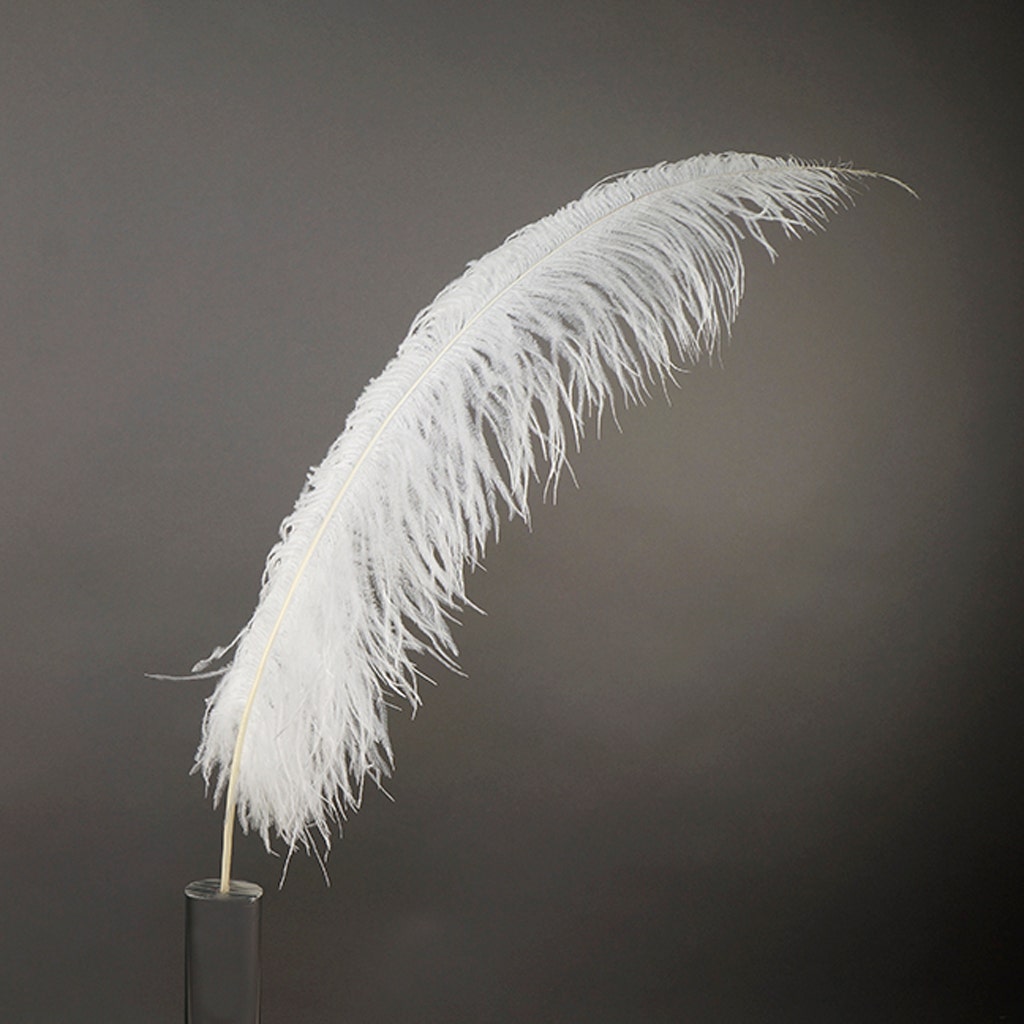 Ostrich Feathers, 1/2 Lb - hot 12-18