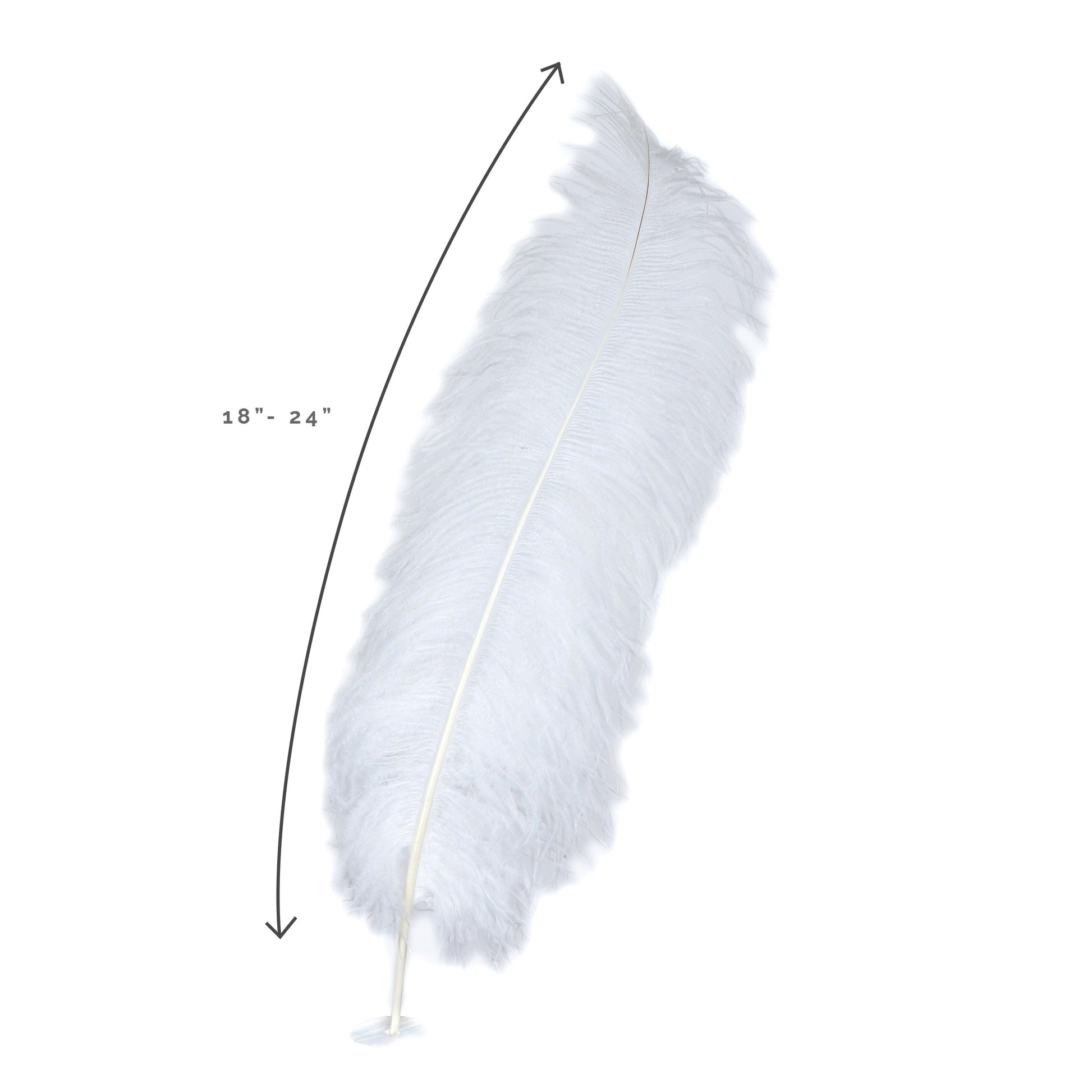 Large White Ostrich Feathers, Folding Fan Large Feather