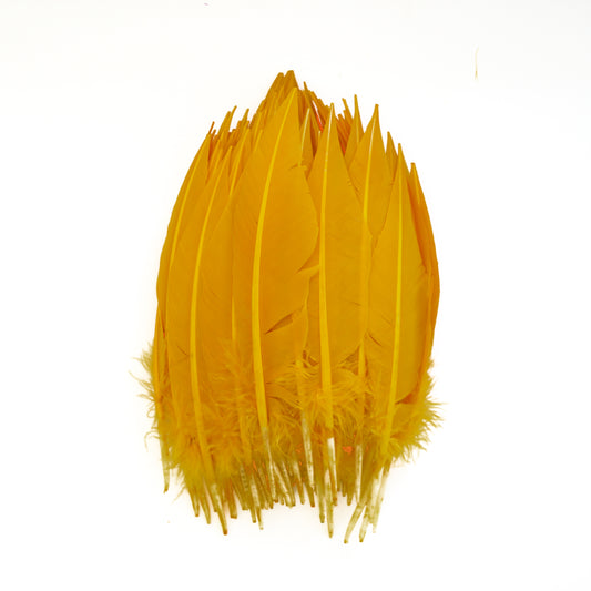 Gold Dagger Turkey Quill Feathers 9-12"