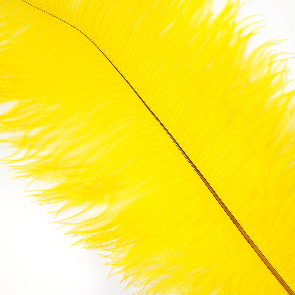 Large Ostrich Feathers - 17"+ Drabs - Yellow