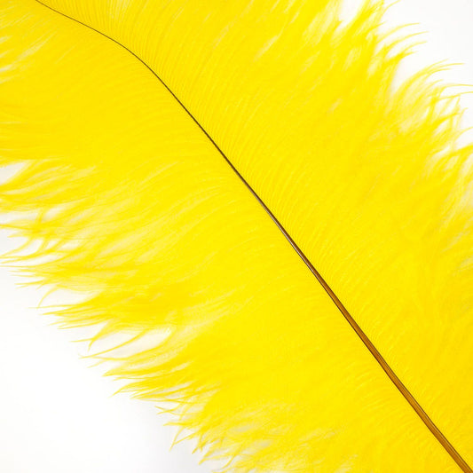 Large Ostrich Feathers - 17"+ Drabs - Yellow