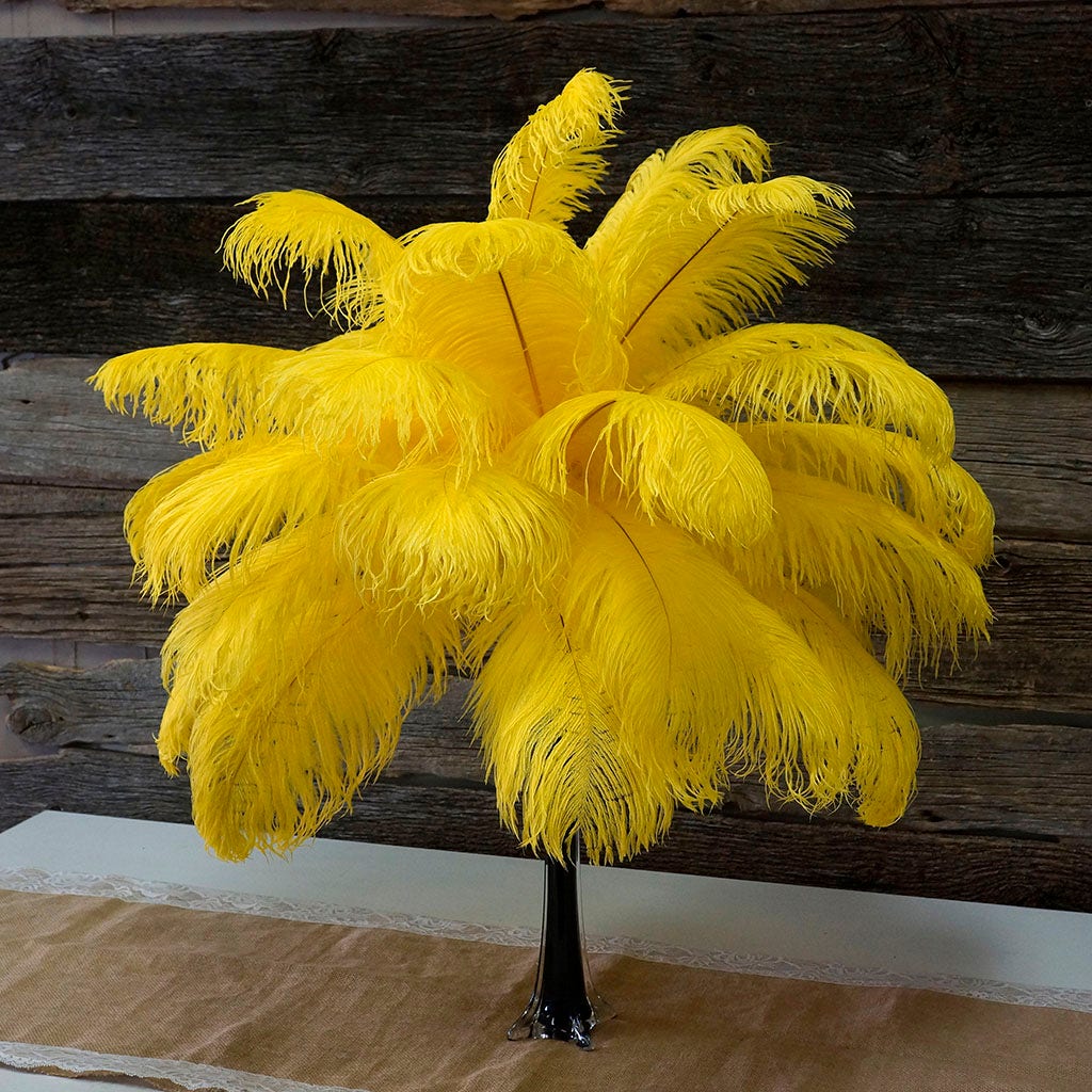 Large Ostrich Feathers - 17"+ Drabs - Yellow