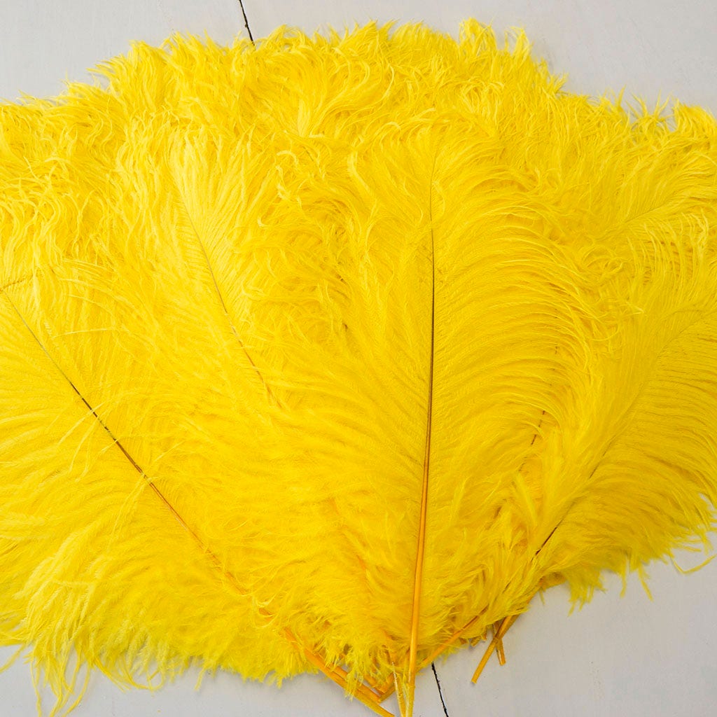 Large Ostrich Feathers - 17"+ Drabs - Yellow