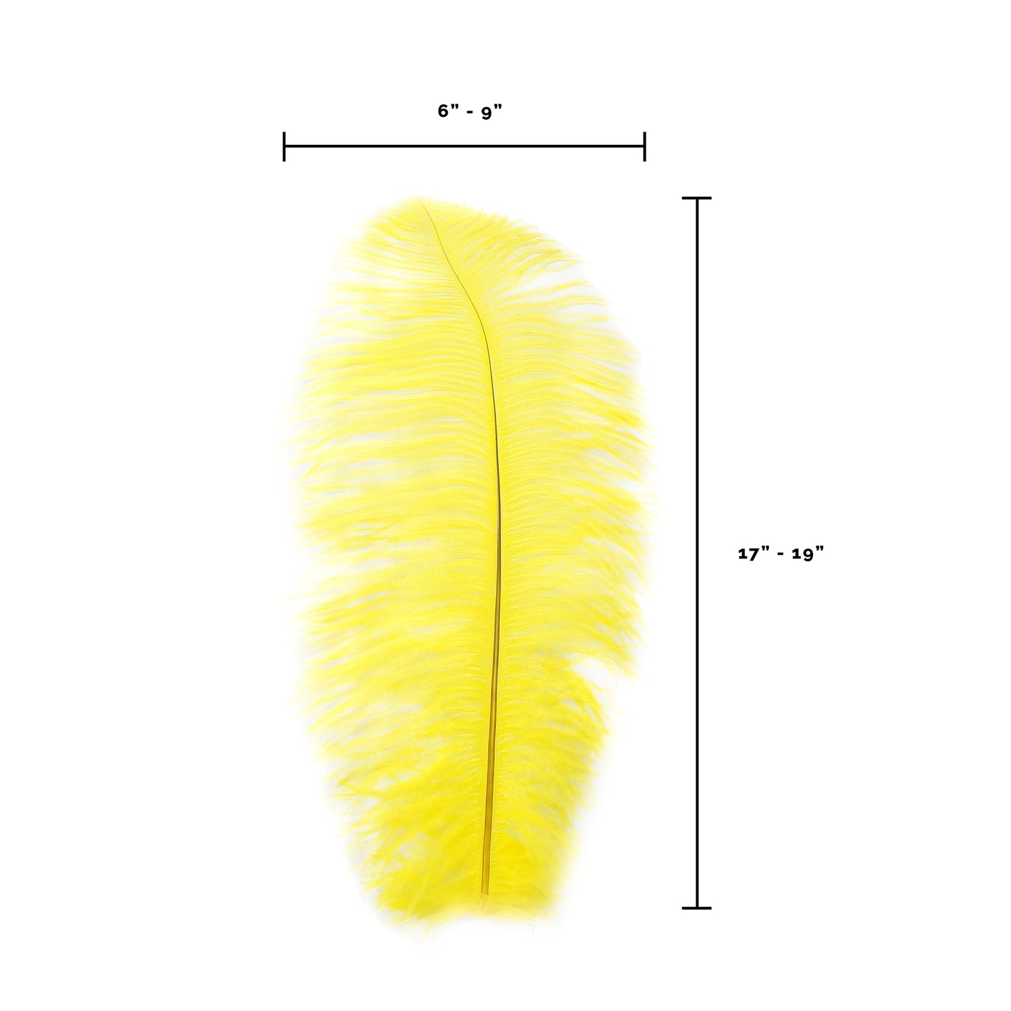 Large Ostrich Feathers - 17"+ Drabs - Yellow