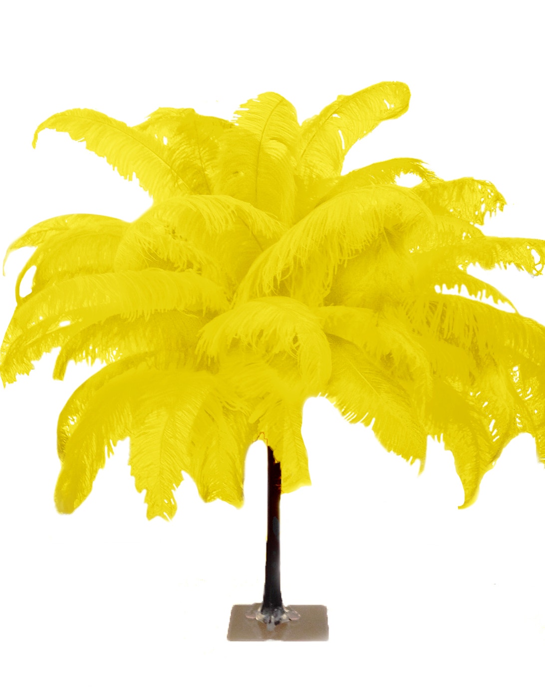 Large Ostrich Feathers - 18-24" Spads - Yellow