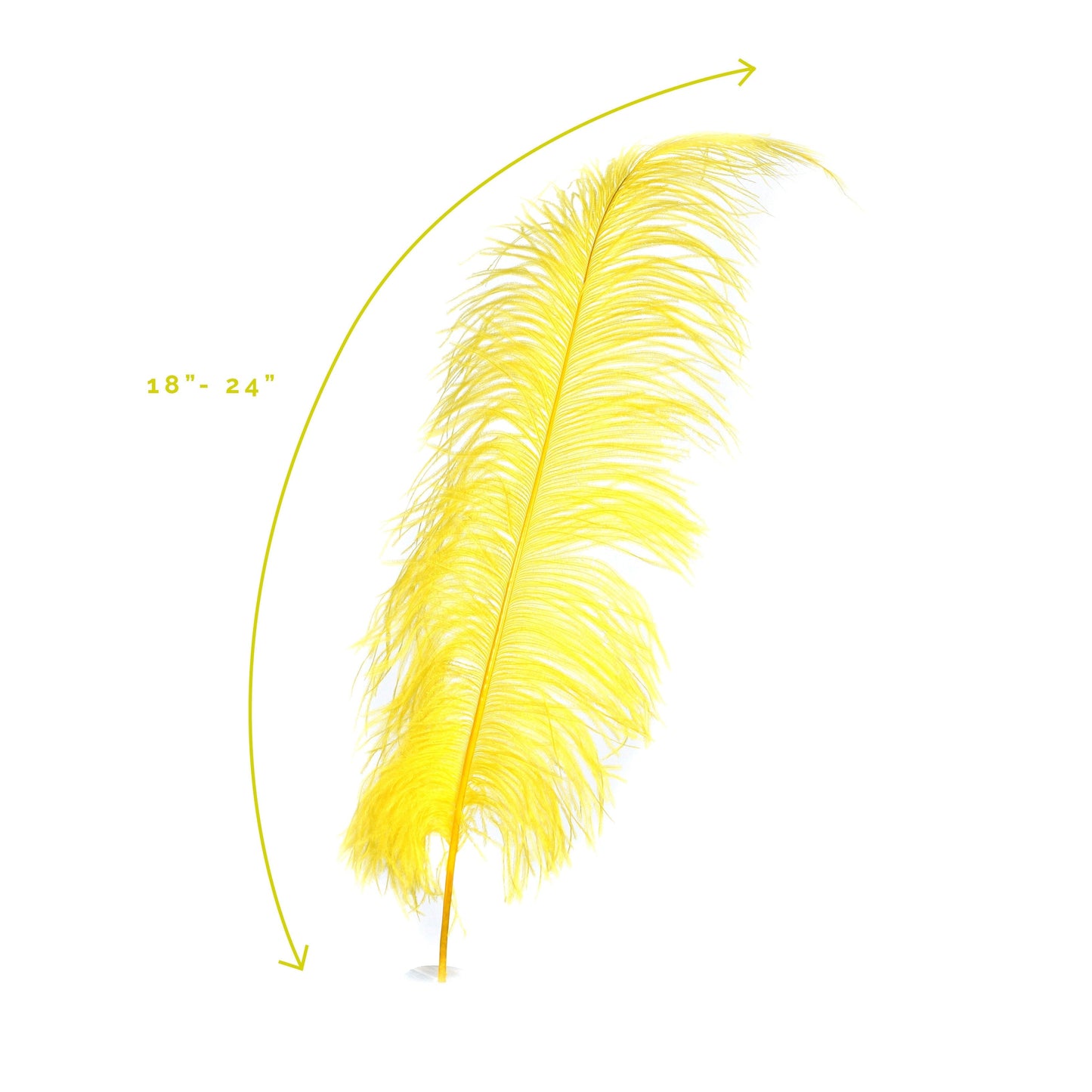 Large Ostrich Feathers - 18-24" Spads - Yellow