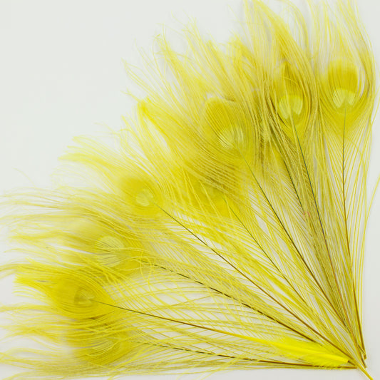 Peacock Feathers | 8-15" Tail Eyes | Fluorescent Yellow (Bulk)