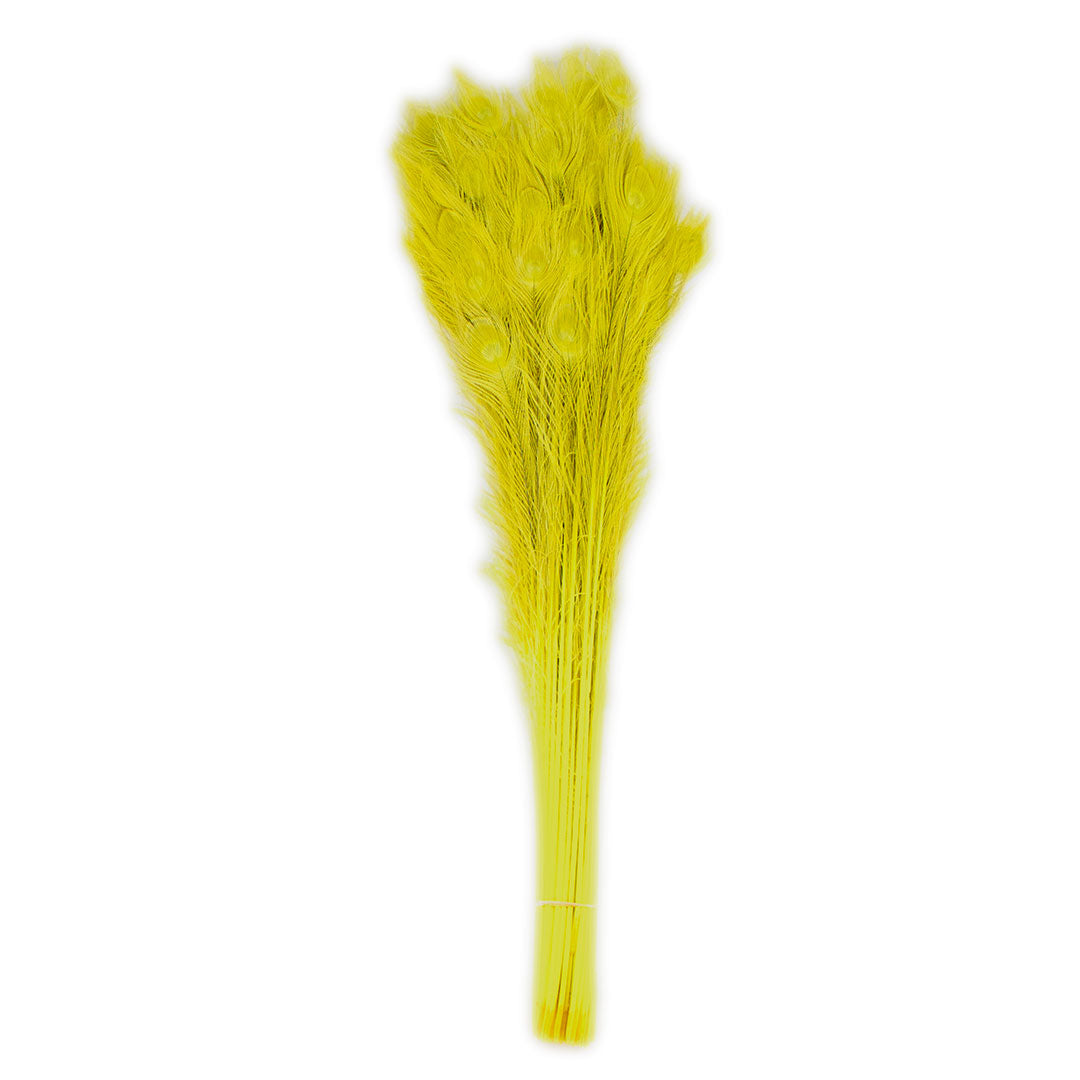 Peacock Feathers (Bulk) | 25-40" Tail Eyes | Fluorescent Yellow