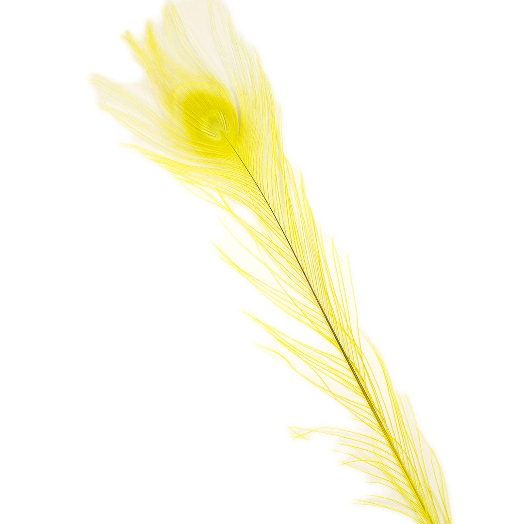 Peacock Feathers (Bulk) | 25-40" Tail Eyes | Fluorescent Yellow