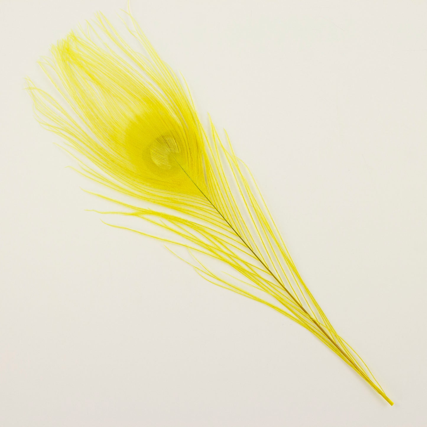 Peacock Feathers | 8-15" Tail Eyes | Fluorescent Yellow | 5pc