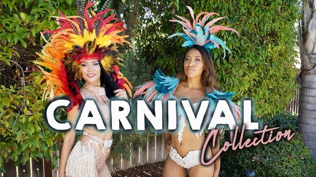 Carnival Feather Headdress w/Ostrich/Goose/Rooster