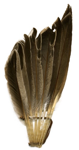 Duck Wing Fan Trim - Bronze